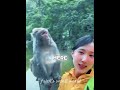 This Monkey Runs a Hair Salon #shorts