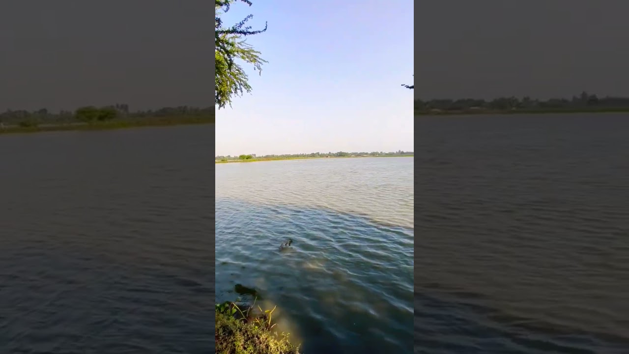 scenic view at Kaipul ,Kharibari