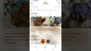 drop bear google easter egg