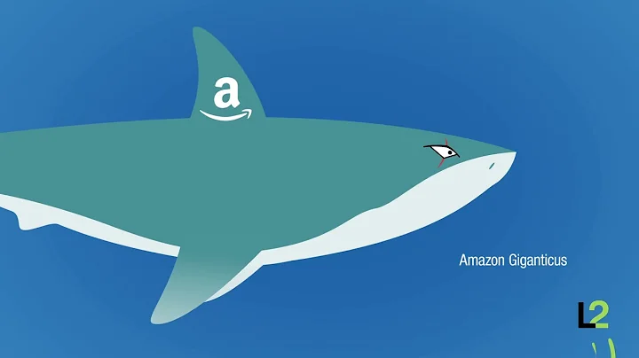 Intelligence Report   Amazon 2014