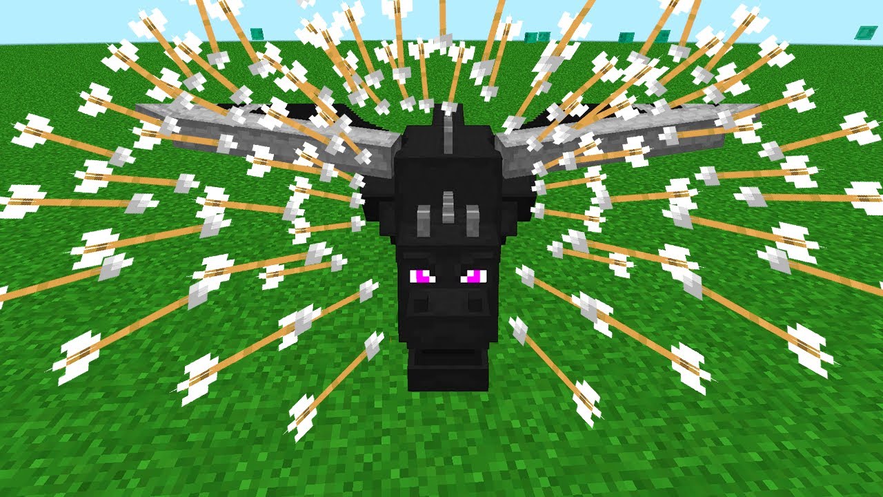 ender dragon vs 1000 arrows YouTube