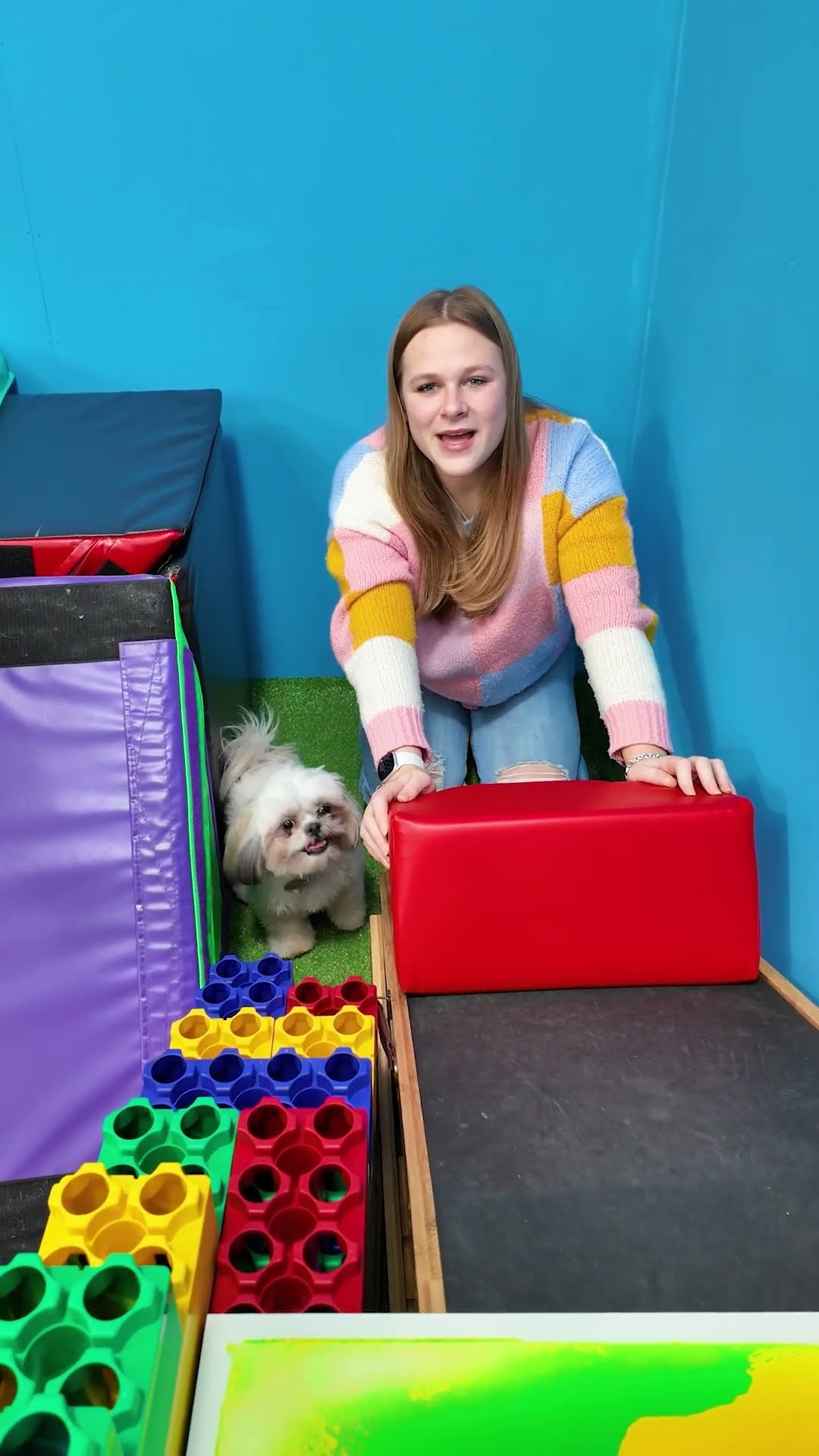 Assistant Has Her Funny Dog Waffles Chase the Motorized Scorpion #familyFun #FunnyDogs