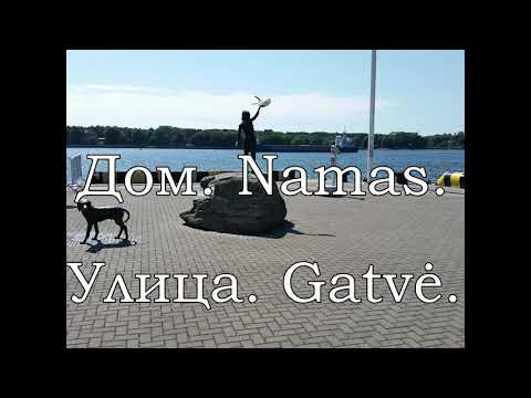 Video: Namas-gatvė