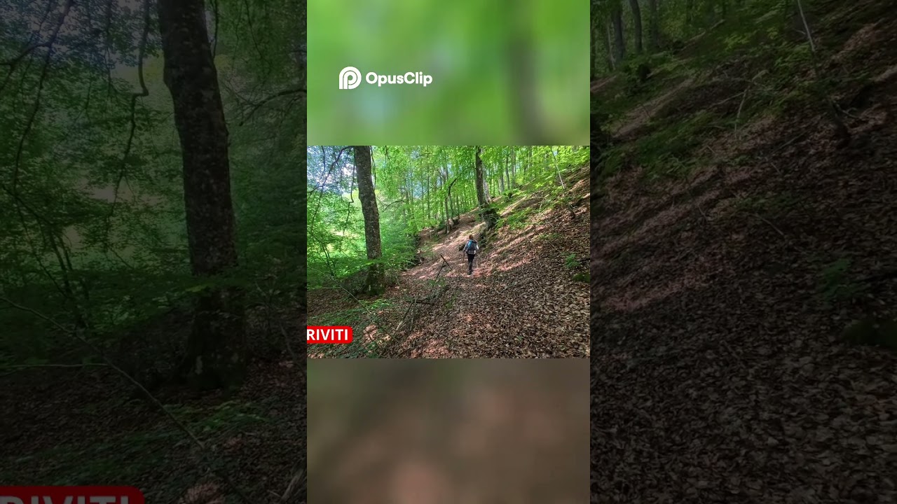 Hiker's Guide  Discovering Hidden Forest Trails & Ancient Chapels!