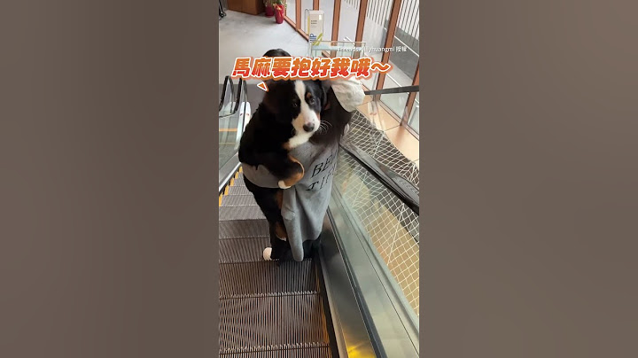 【我有人抱哦～】伯恩山犬媽抱著搭電扶梯　落地還回頭炫耀XD #Shorts