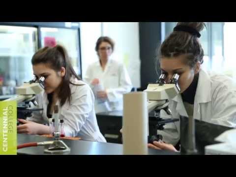 Video: Aling halimbawa ang kumakatawan sa paggamit ng modernong biotechnology?