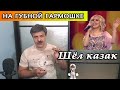 Шёл казак на губной гармошке