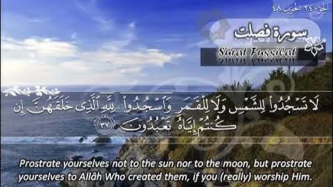 الشيخ ماهر المعيقلي سورة فصلت - جودة عالية | Maher Almuaiqly Surat Fussilat - High Quality