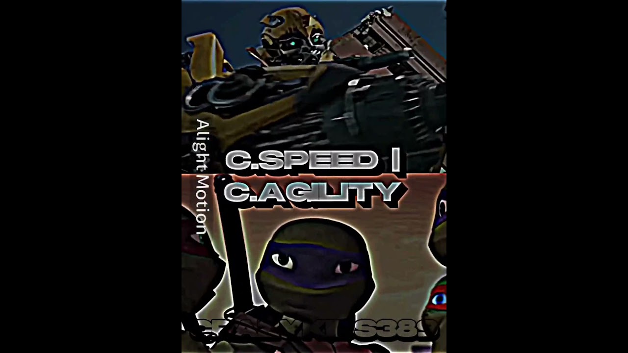 Bumblebee Vs Leonardo | 