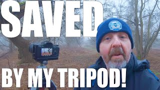 Saved by my Tripod!! | Holme Fen in the Mist | Woodland Photography