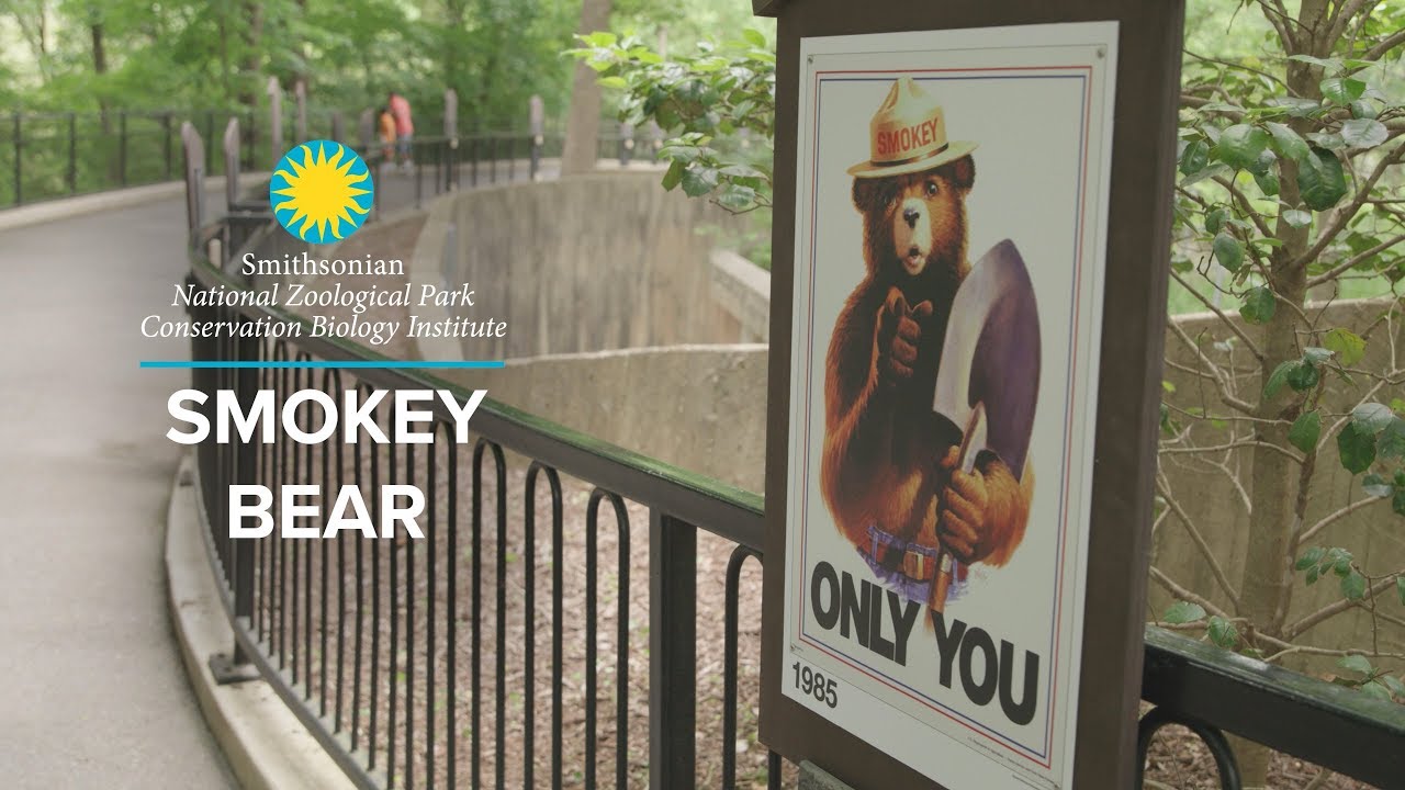Smithsonian's National Zoo's Smokey Bear Exhibit