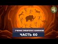 Аудиокнига &quot;Учение сибирских шаманов&quot;. Часть 60. Мир духов управляет жизнью. Зачем  помощь шамана?