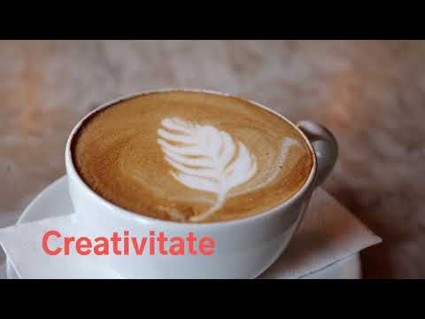 Promovarea Afacerii Tale - servicii de optimizare SEO