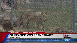 St. Francis Wolf Sanctuary