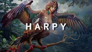 HARPY - The Half Bird Woman of Greek Mythology