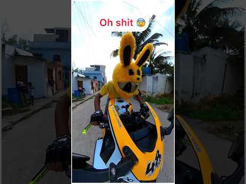Oh shit …….#bunnyhelmet #mrcrazy #pahadidance - Oh shit …….#bunnyhelmet #mrcrazy #pahadidance