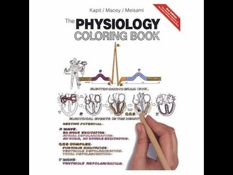 PDF The Physiology Coloring Book 2nd Edition