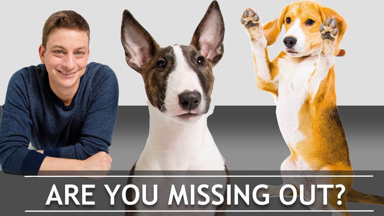 jumping a car Follow @zakgeorge on Instagram!