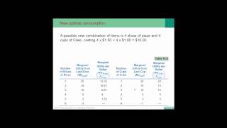 Chapter 10- Consumer Choices and Behavior