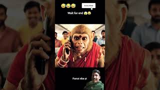 monkey vlog #shorts #monkeyvlog #funny #monkey🤣😅@Aimixvideo