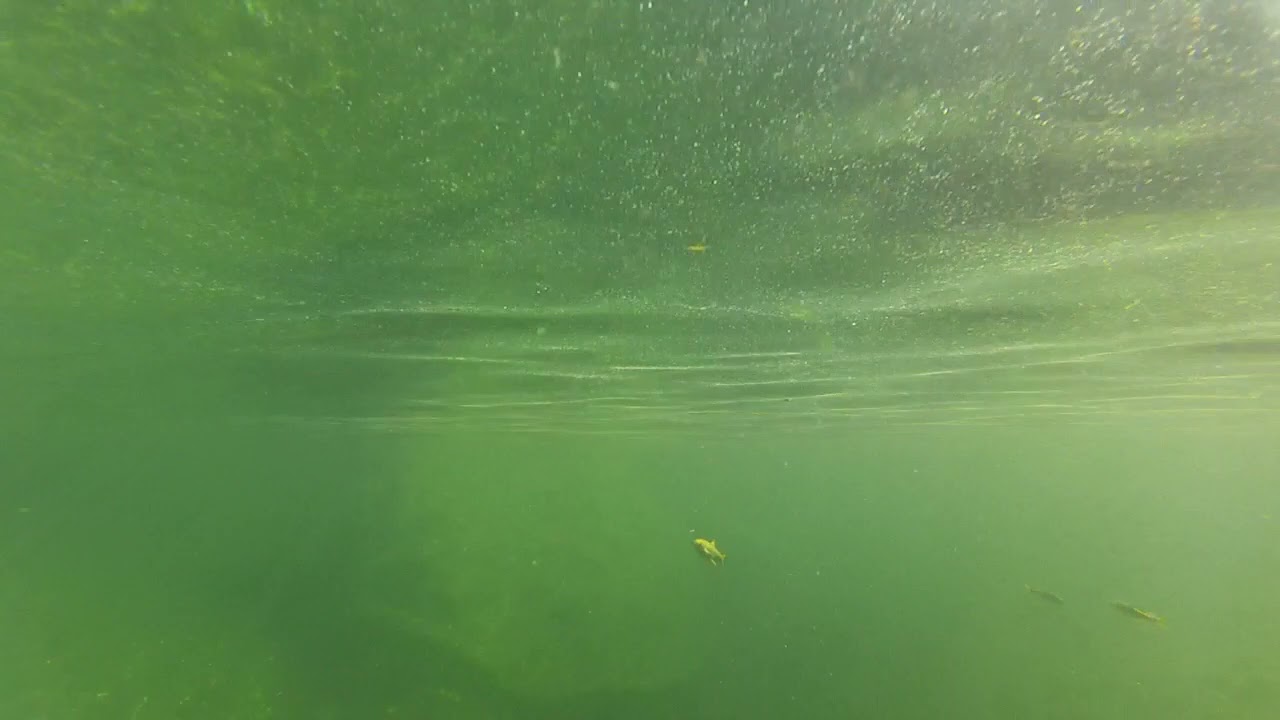 Spends Quality (feat. J.Kendall) - "Ripple Effect"