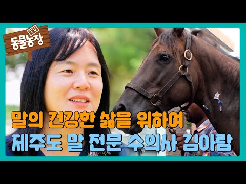 말의 건강한 삶을 위하여, 제주도 말 전문 수의사 ‘<strong>김아람</strong>’ #TV동물농장 #AnimalFarm #SBSstory
