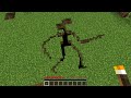 КУДА ВЕДЕТ ЭТОТ СТРАННЫЙ ПРОХОД СИРЕНОГОЛОВОГО В МАЙНКРАФТ SIREN HEAD SCP 6789 MINECRAFT