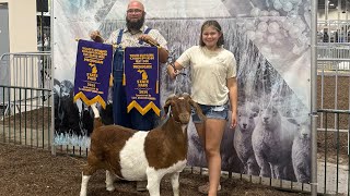 Amelia’s Showmanship Class at the Michigan State Fair 2026