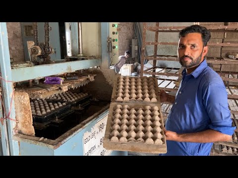 An amazing process of making egg tray using waste paper