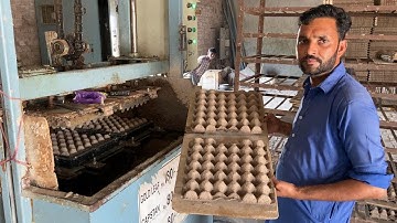 An amazing process of making egg tray using waste paper recycling
