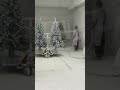 Christmas is coming. Have you prepared your Christmas tree#christmas #christmastree