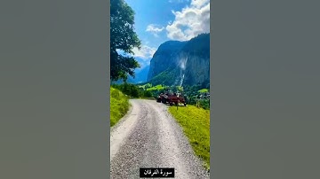 حالات واتس سورة الفرقان الآية ٦٣بصوت #وديع_اليمني #عباد #الرحمن #يمشون  #الجاهلون