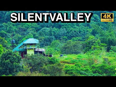 Silentvalley National Park Keerippara Forest Stay | 4K UHD