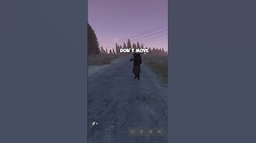POV : YOU ARE MOVING IN DAYZ