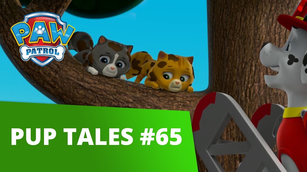 PAW Patrol - Pups Save the Cat Show - Rescue Episode - PAW Patrol