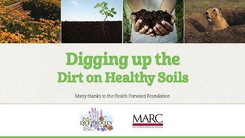 Deep Roots | Beginner/Refresher Series: Digging Up the Dirt on Healthy Soils Part 2 | November 2022
