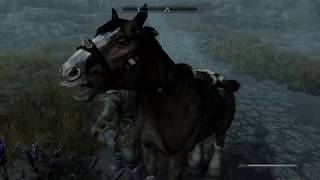 [Skyrim Special Edition] Frozen Weird Horse Glitch