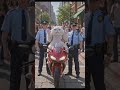 white cat steals chocolate from a supermarket and runs away.