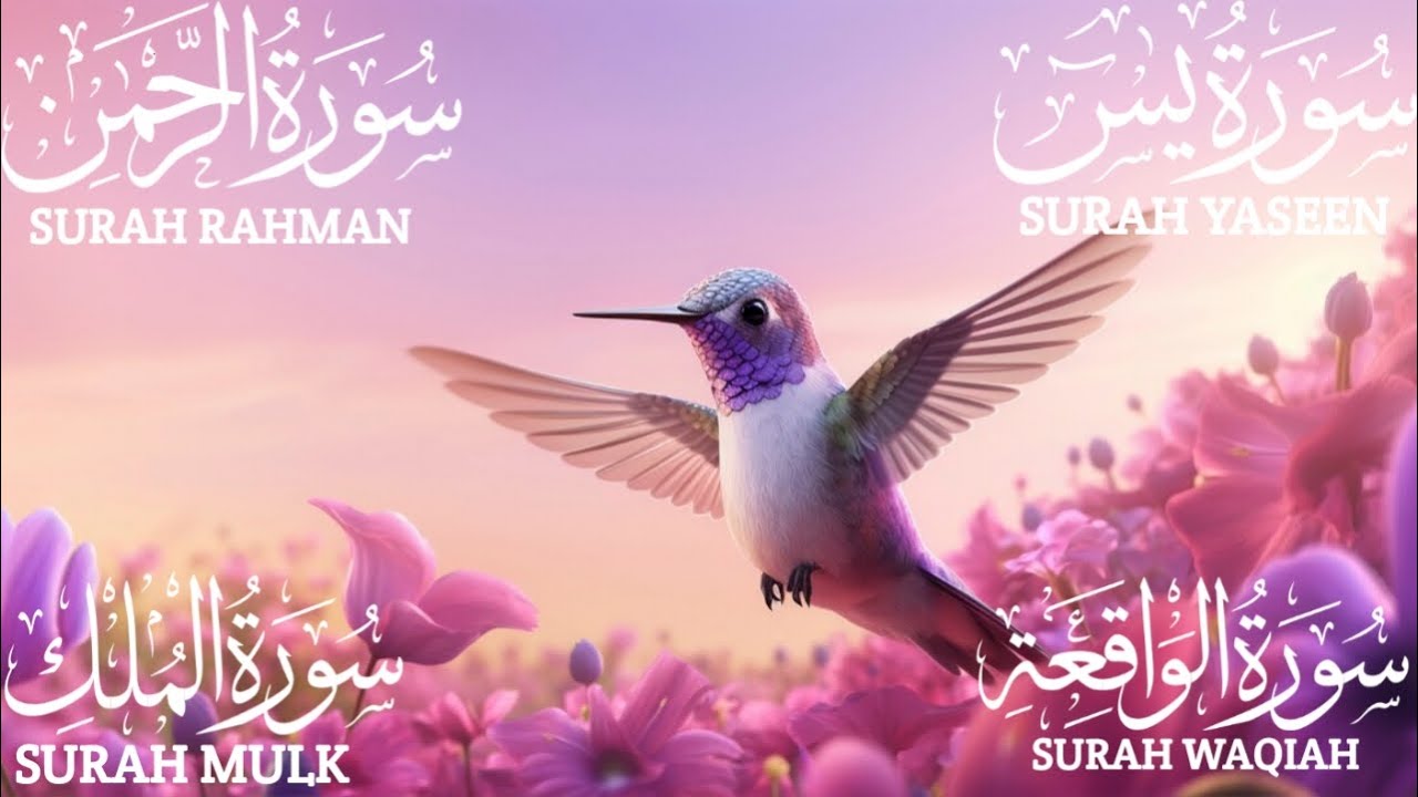Surah Yaseen (Yasin) | Surah Rahman | Surah Waqiah | Surah Mulk | Beautiful Quran Recitation EP: