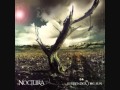 Noctura- forever lullaby
