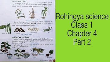Rohingya Science class 1 ||chapter 4|| part 2