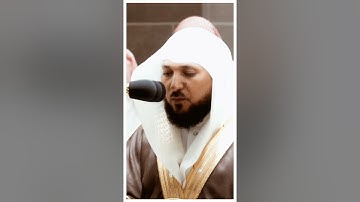 تلاوة مرئية سورة التوبة الآيات من ١٢٠ إلى ١٢١ الشيخ ماهر المعيقلي