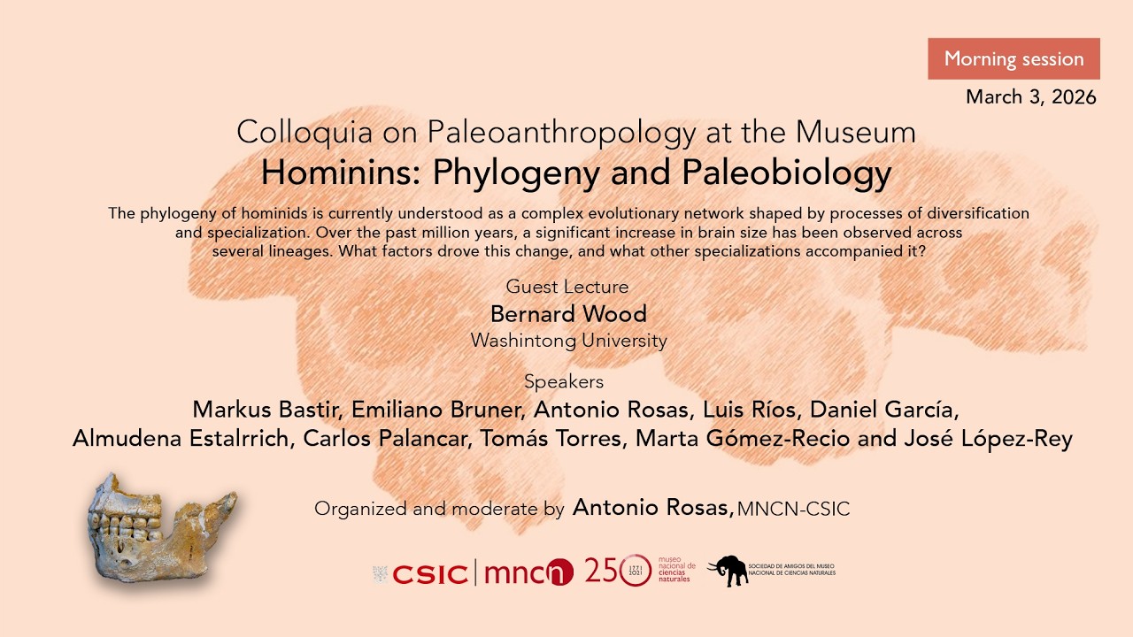 Sesión Mañana - Colloquia on Paleoanthropology at the Museum. Hominins: Phylogeny and Paleobiology