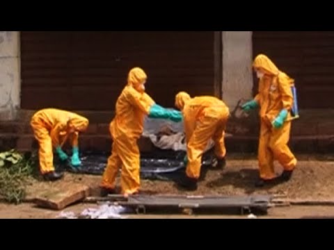 Ebola is hurting