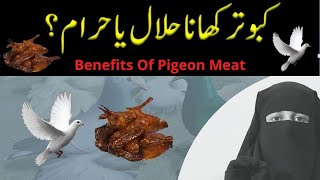 Kabootar khana Halal Hay Ya Haram? Benefits Of Pigeon Meat - Problem Solving | Ask Ubaida Tayyab Resimi