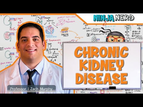 நாள்பட்ட சிறுநீரக நோய் (CKD) | நோயியல், நோய்க்குறியியல், மருத்துவ அம்சங்கள், நோய் கண்டறிதல், சிகிச்சை