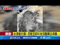 社會案件與法律問題