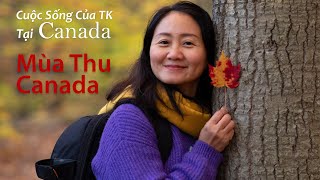 Vẻ Đẹp Bất Tận Của Mùa Thu Canada!