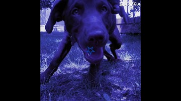 Just of random edit of pictures in my camera roll