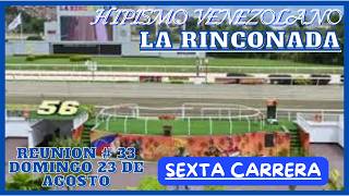 LA RINCONADA, SIXTH RACE SUNDAY, AUGUST 23. WINNER: COLOSSUS 143.04 BS.